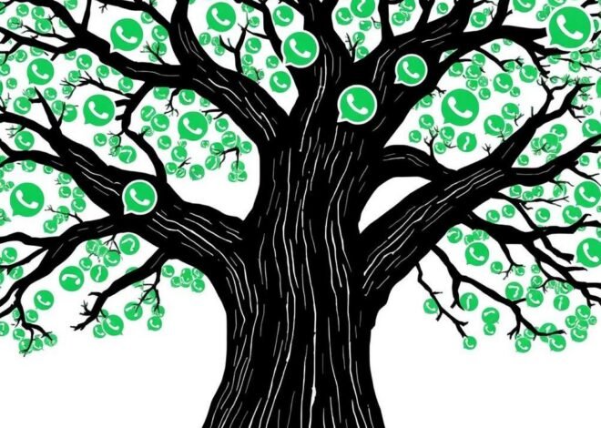 Meta’s WhatsApp AI Chatbot Drama: Why Italy’s Antitrust Watchdogs Are Barking Up This Tree