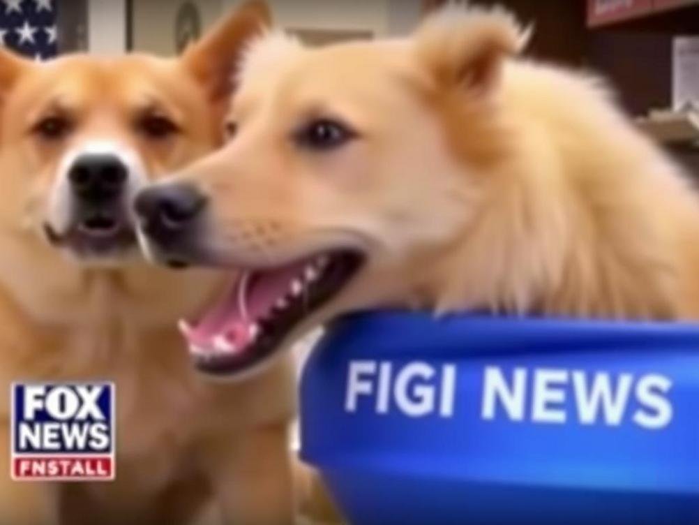 When AI Tricks the Big Dogs: Fox News’ Epic Fail with Fake Food Stamp Rage Footage