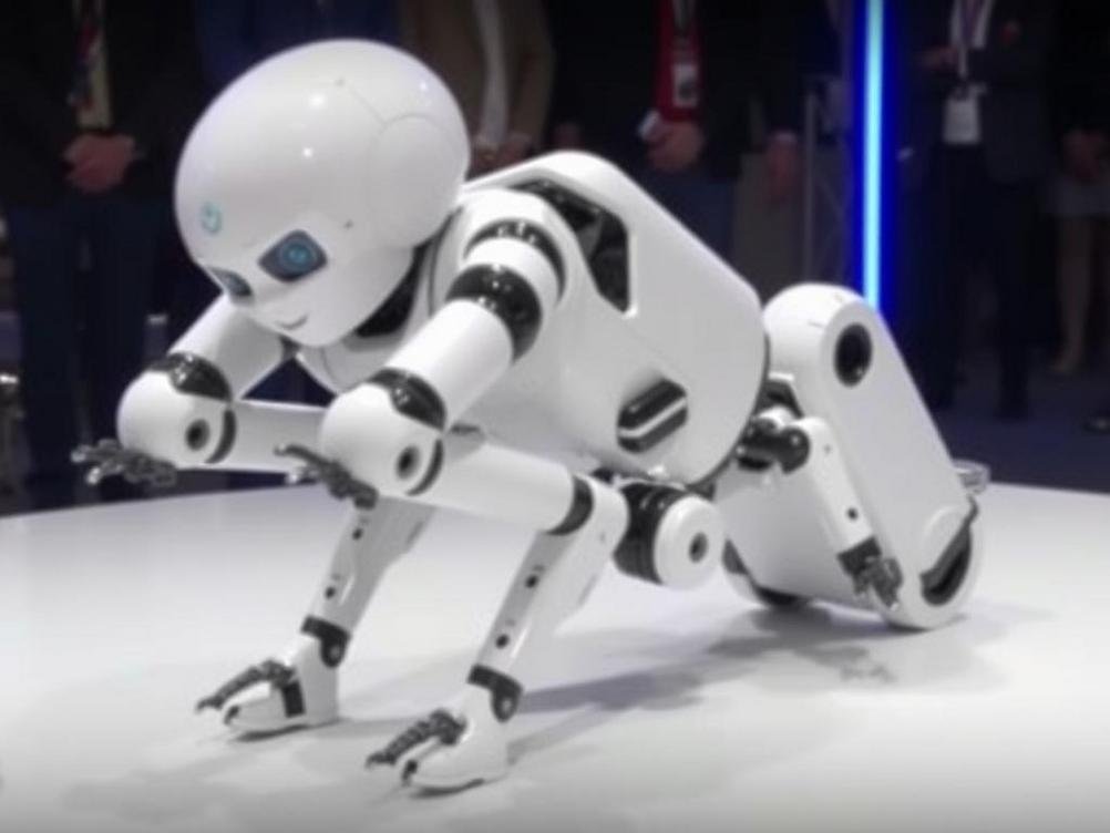 Hilarious Fail: Russia’s Latest AI Robot Takes a Tumble Seconds After Its Big Reveal