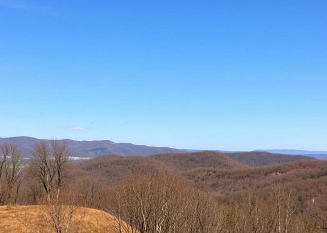 How East Tennessee Might Steer Trump’s Ambitious $100B AI Revolution